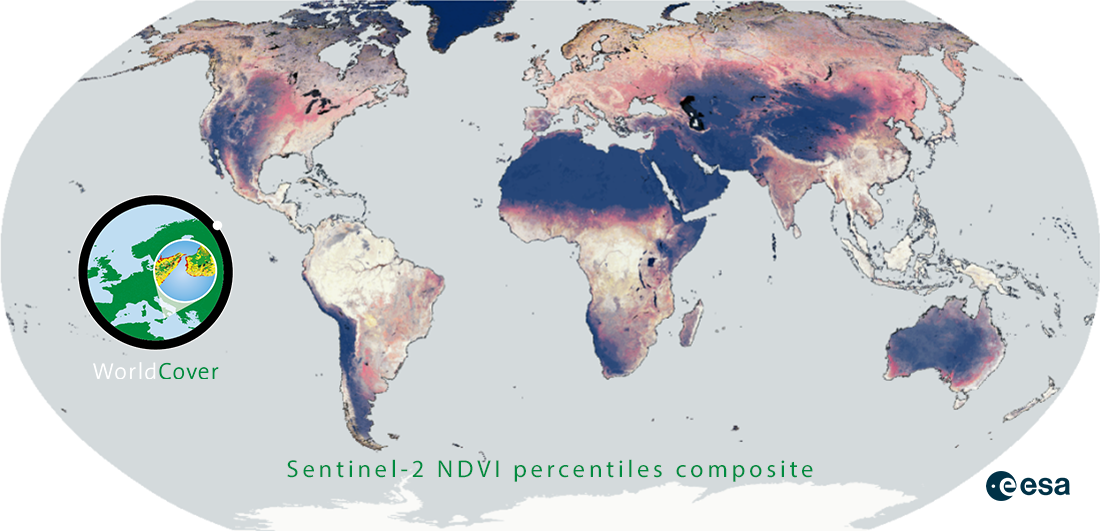 WorldCover annual composite