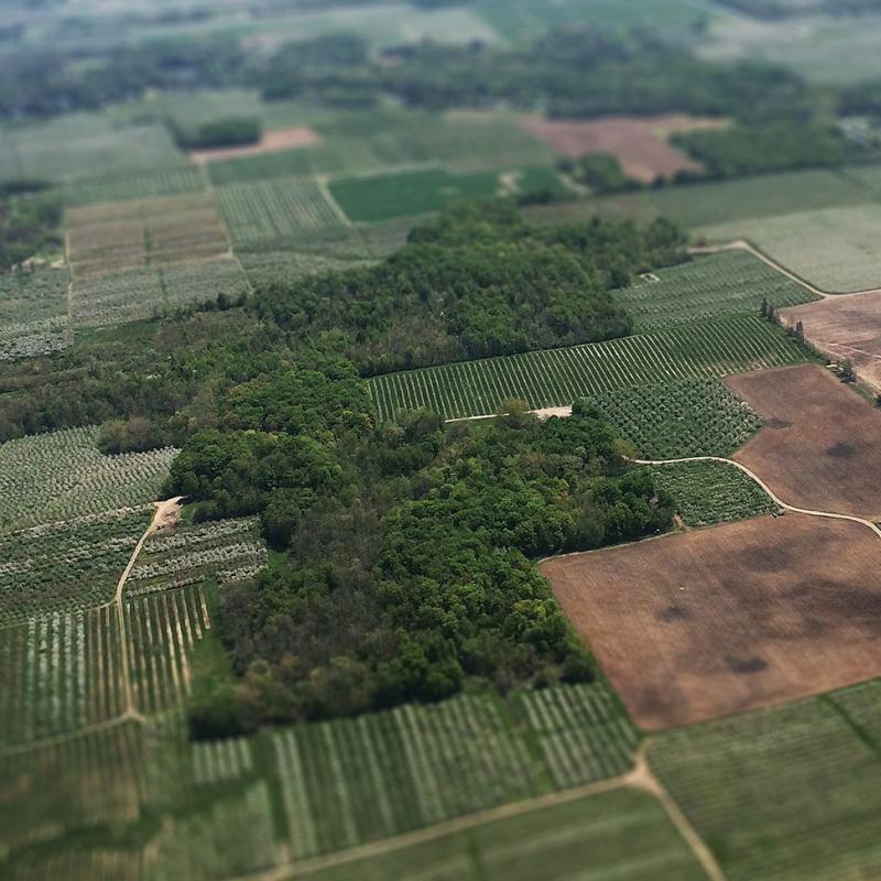 CropSAR porfoltio reference